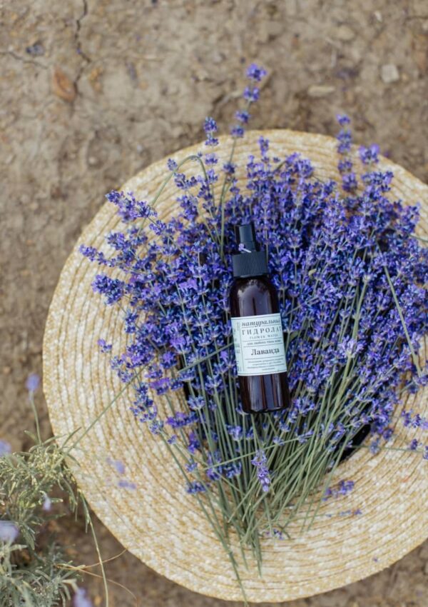 Provence - a region of beautiful people, great food and endless lavender fields