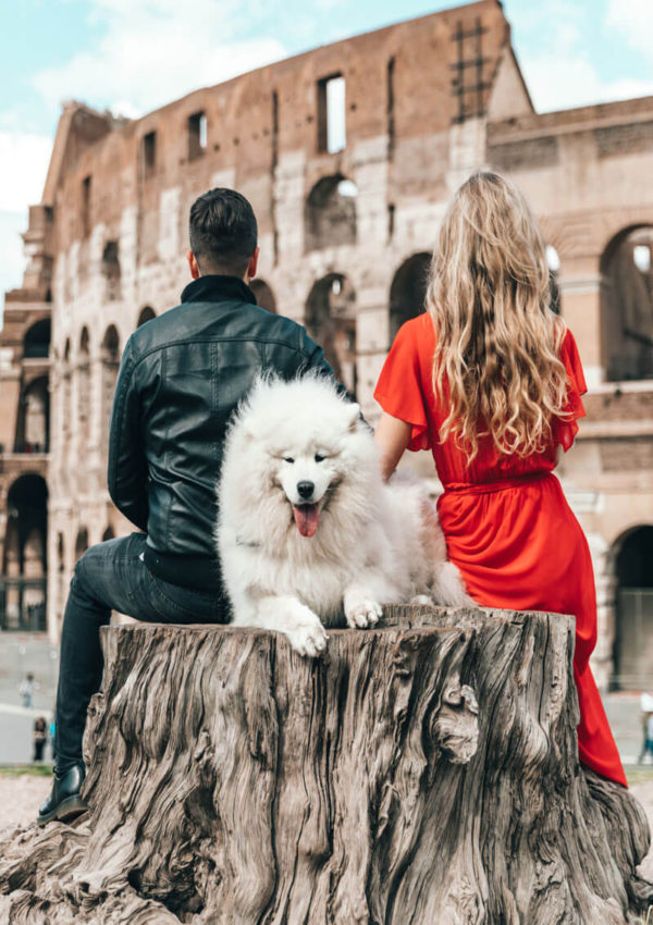 How to travel easily across Europe with your dog?