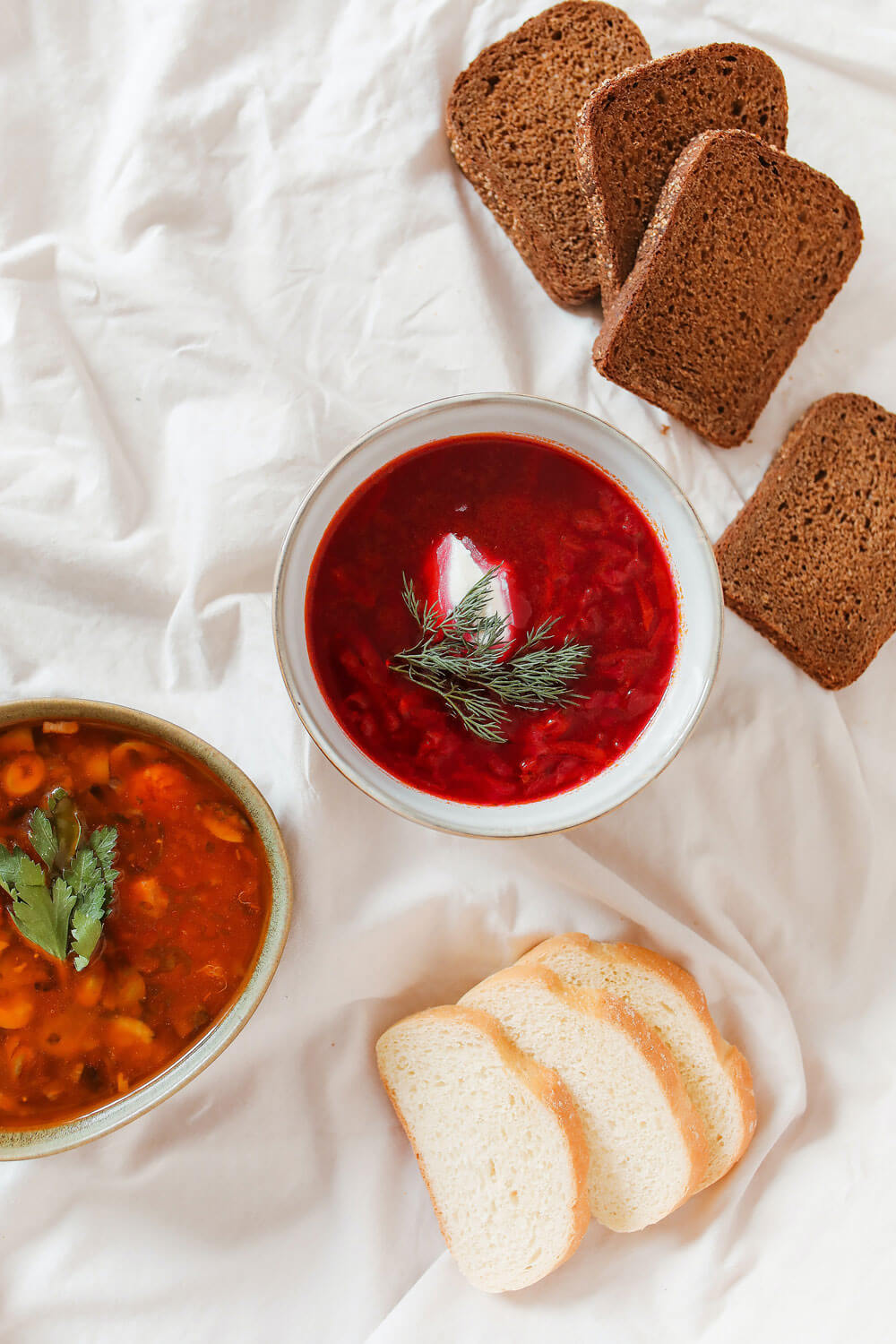 Taste of Europe Ukrainian Borscht